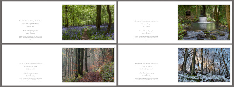 4 Seasons No.1 - Landscape Cards