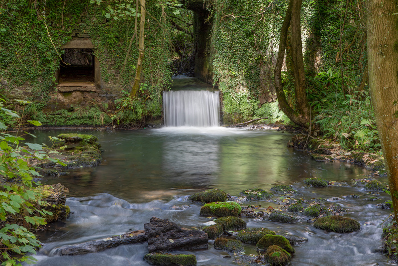 Lower Forge - Summer