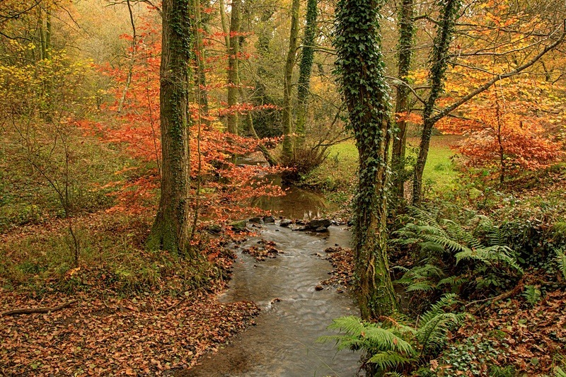 Autumn at Wenchford - Autumn