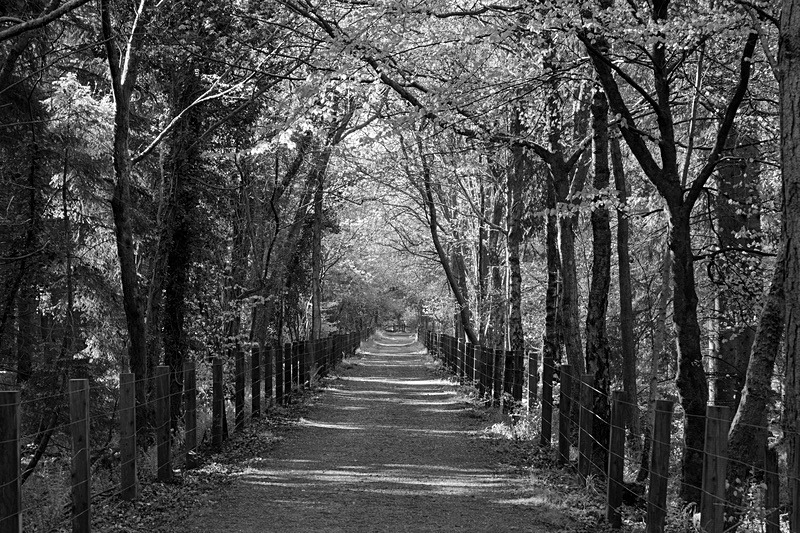 Towards Mallards Pike - Mainly Black & White