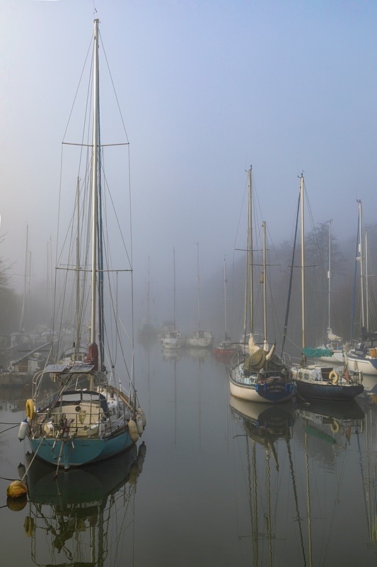 Misty Harbour Reflections - Winter