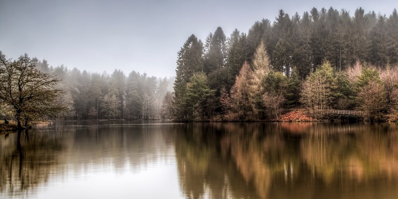 Misty Mallards Pike - Panoramic Canvas