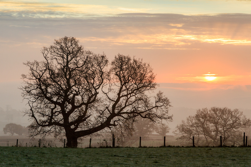 Winter Sunrise - Winter