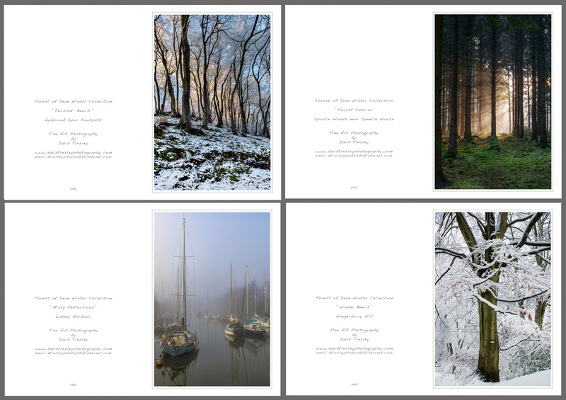 Winter Portrait No.1 - Portrait Cards