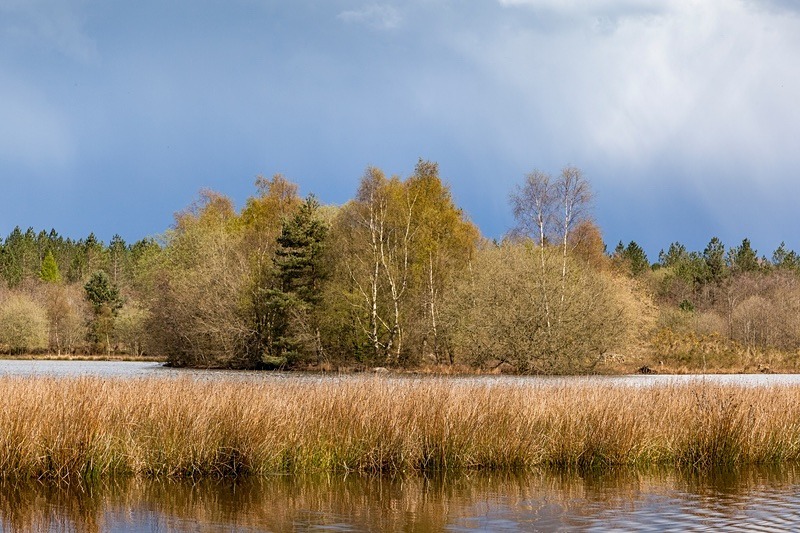 Woorgreens Lake - Spring