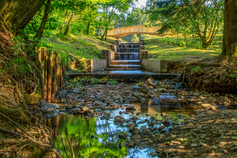 Summer Reflections at Mallards Pike - Summer