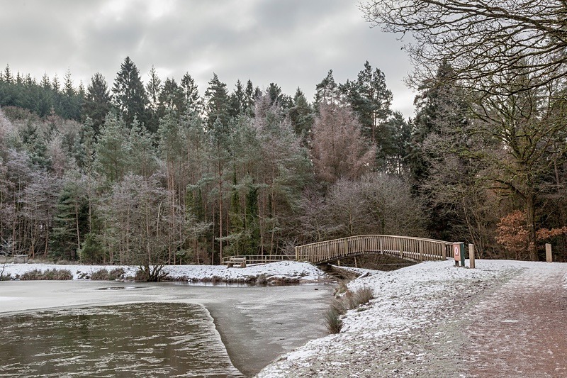 Winter Footbridge - Winter