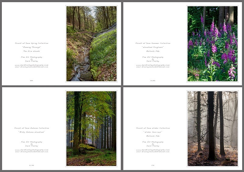 4 Seasons Portrait No.3 - Portrait Cards
