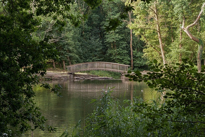 Cannop Footbridge Reflections - Summer
