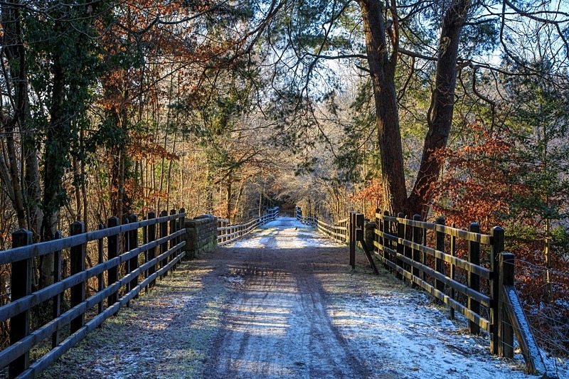 Central Bridge in Winter - Winter