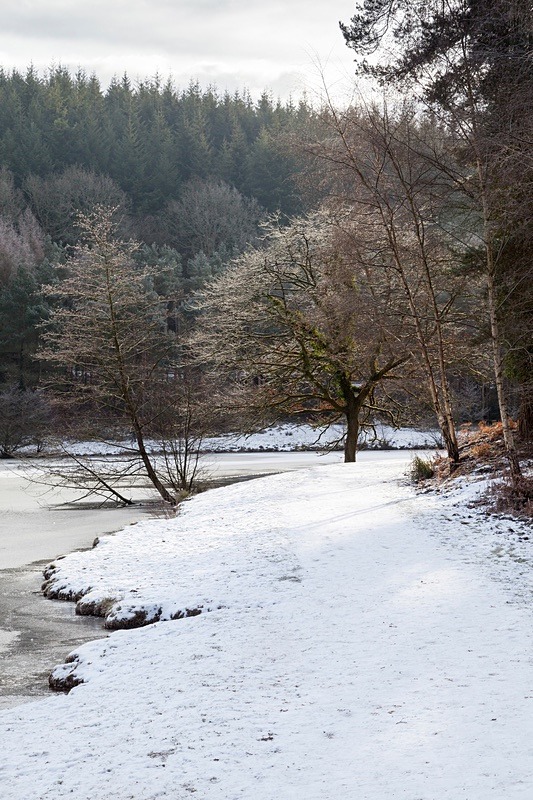 Winter at Mallards Pike - 5 - Winter