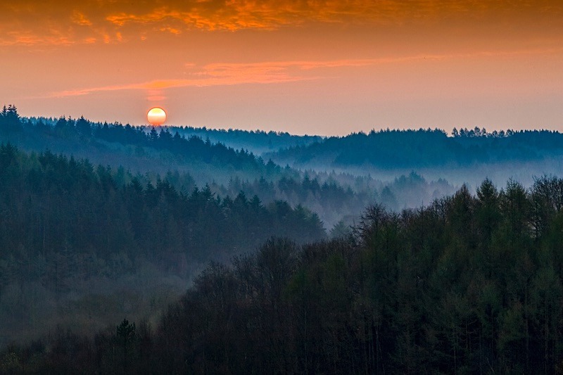 Spring Sunrise - Spring