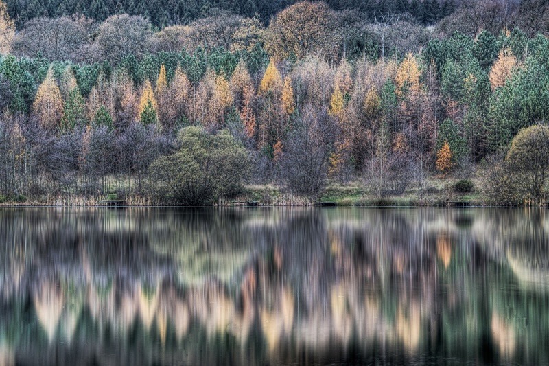 Winter Reflections - Most Popular Images