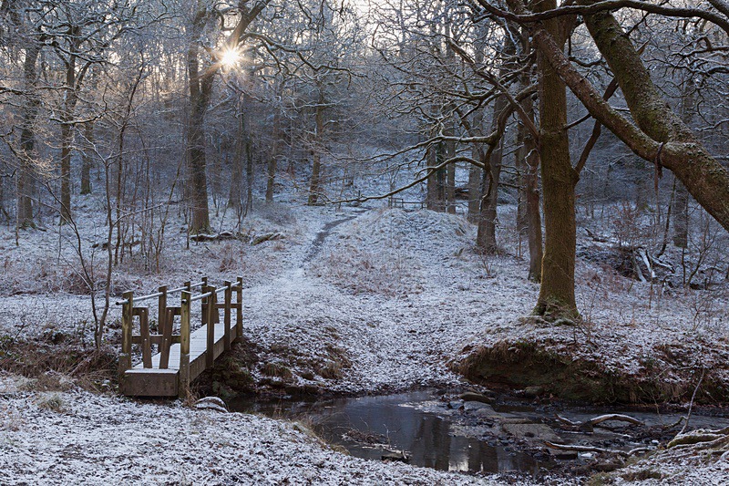 Sunrise above the Stream - Winter