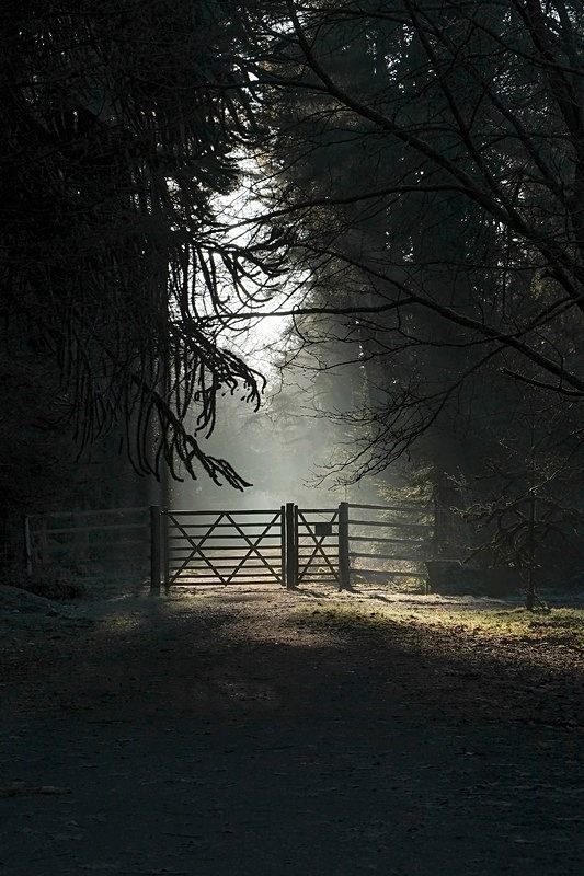 Sunlit Gateway - II - Winter