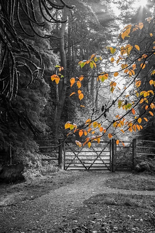 A Hint of Autumn - Most Popular Images