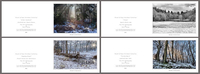 Christmas Landscape  No1 - Christmas Cards