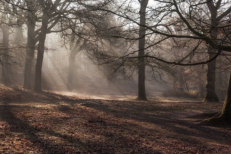 Winter at Wenchford - Winter