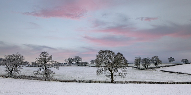 Winter Sunset - Panoramic Canvas
