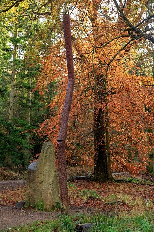 Coal Measure Giants A - Autumn