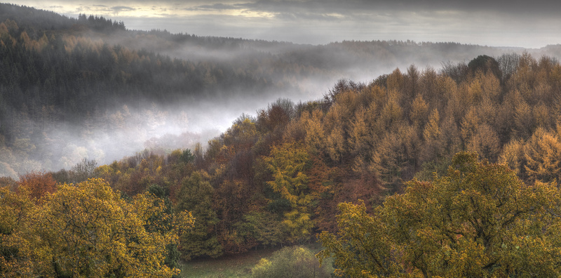 Forest of Dean Landscape Photography by David Tinsley