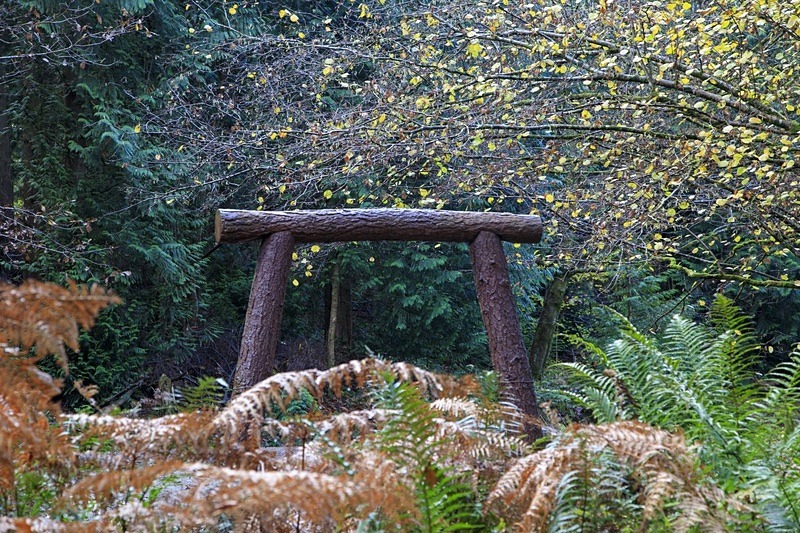 Coal Measure Giants B - Autumn