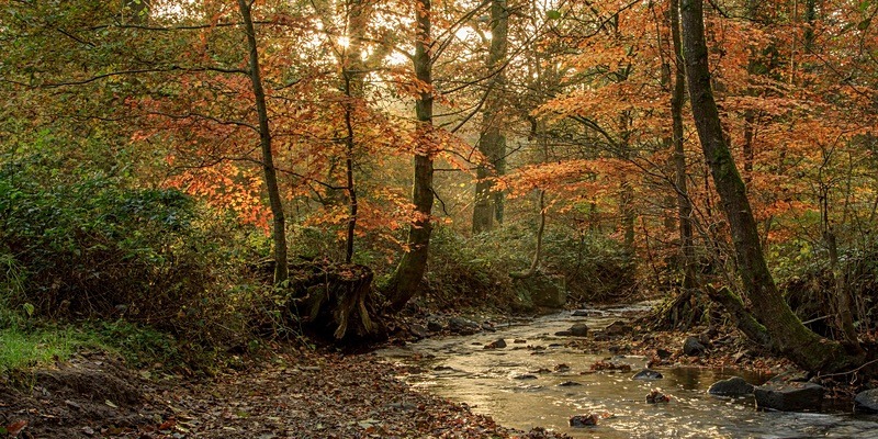 Autumn at Wenchford - Panoramic Canvas
