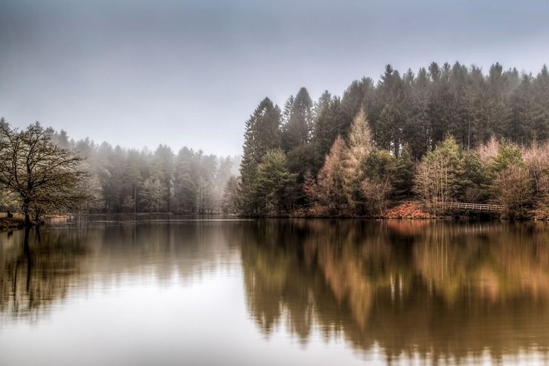Misty Mallards Pike - Winter