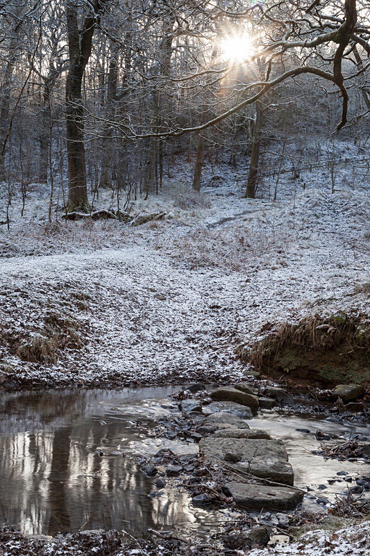 Stepping Stones - Winter
