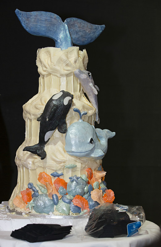 Whalefest 2014 REF HCAKE2 - The dedicated volunteers of Whalefest in Brighton (the real heroes from Whalefest)