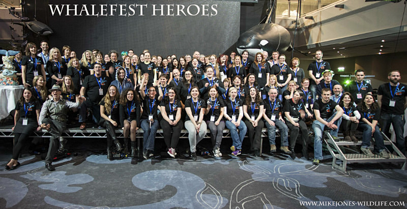 '  THE HEROES '. Whalefest 2014 ref GROUP 1 - The dedicated volunteers of Whalefest in Brighton (the real heroes from Whalefest)