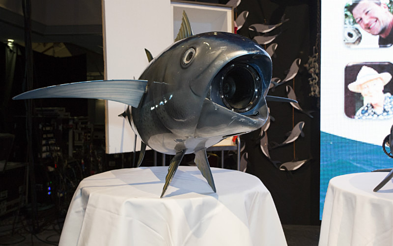 Rob Pilley (Spy in the Pod) Whalefest 2014 REF SIP5 - Images from the 'Spy in the Pod' Innovative filming presentation at Whalefest 2014 in Brighton