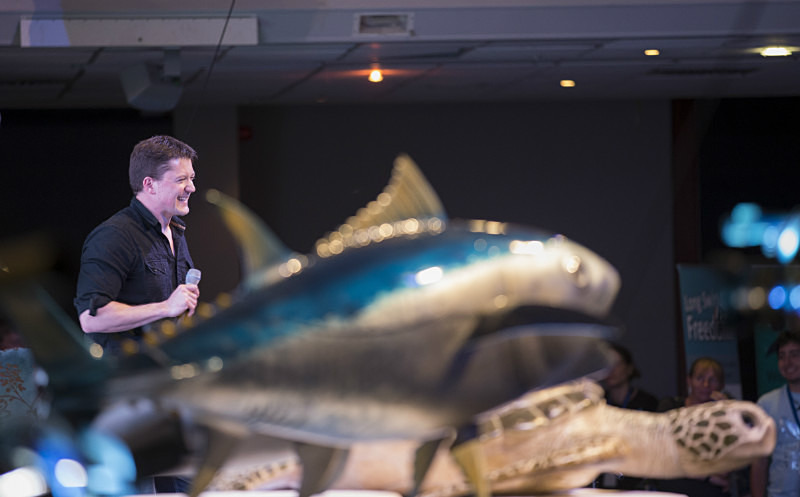 Rob Pilley (Spy in the Pod) Whalefest 2014 REF SIP4 - Images from the 'Spy in the Pod' Innovative filming presentation at Whalefest 2014 in Brighton