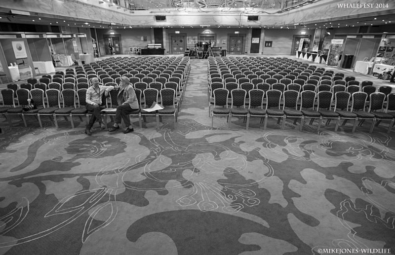 'Calm before the Storm' - Images from 'Behind the scenes' at Whalefest 2014 in Brighton