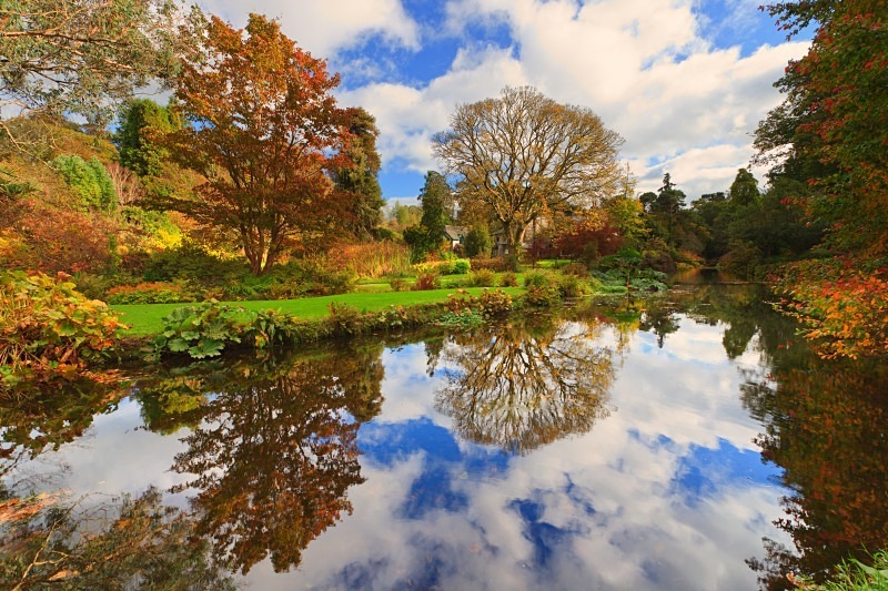 Autumn Colours - Colour