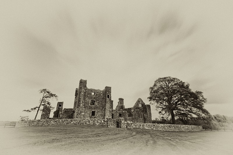 Bective Abbey - Mono