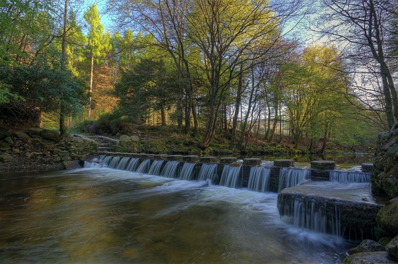 stepping stones