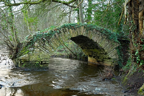 Babes Bridge01 - Landscapes
