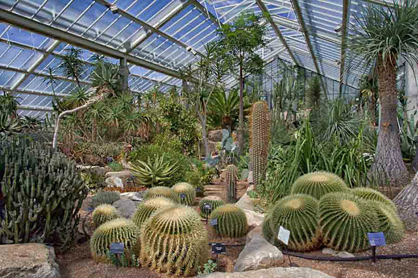  - Kew Gardens 2015