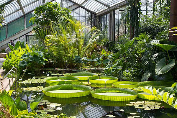  - Kew Gardens 2015