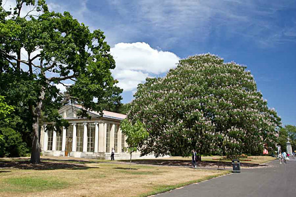  - Kew Gardens 2015