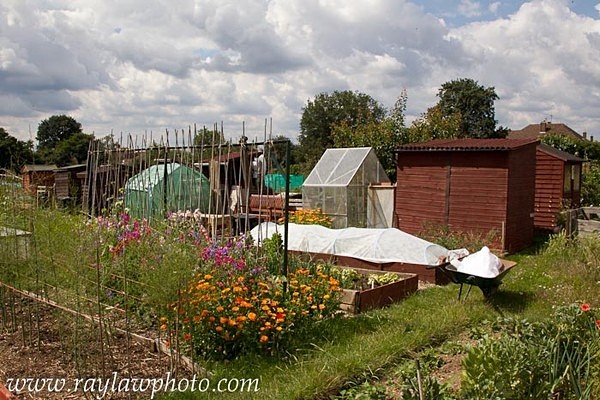 MPAA-0964 - Allotment Pot Pourri