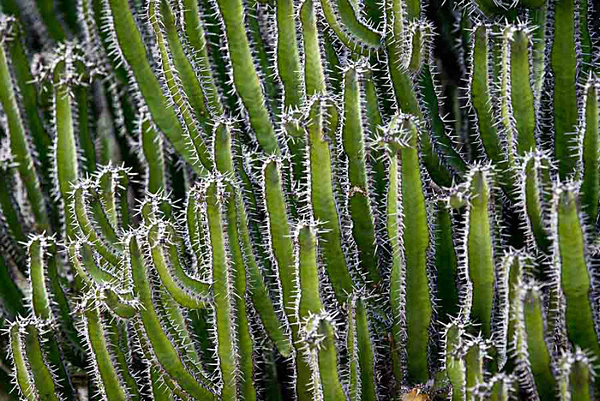  - Kew Gardens 2015