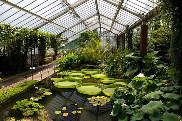  - Kew Gardens 2015
