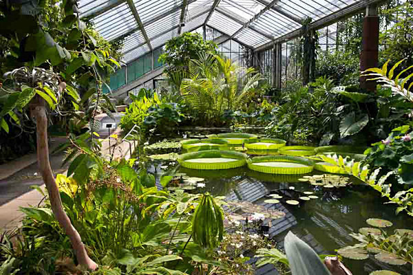  - Kew Gardens 2015