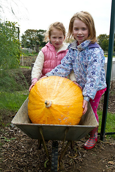 RLP-0569 - Pumpkin Competition 2015
