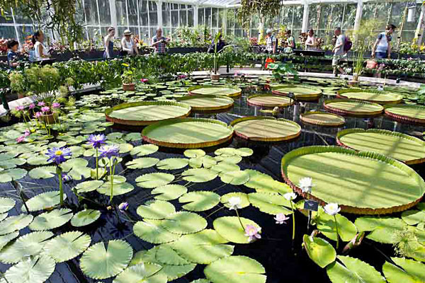  - Kew Gardens 2015