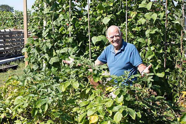 080718-4032-2 - Allotment Safari 2019