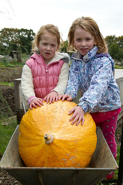 RLP-0584 - Pumpkin Competition 2015