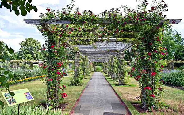  - Kew Gardens 2015